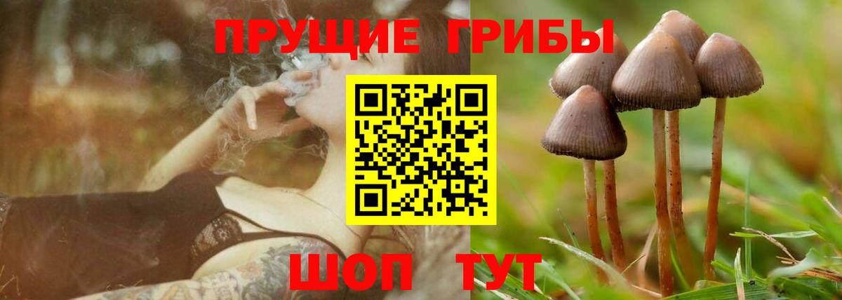 Галлюциногенные грибы MAGIC MUSHROOMS  купить наркоту  Коломна  Вход с VPN 